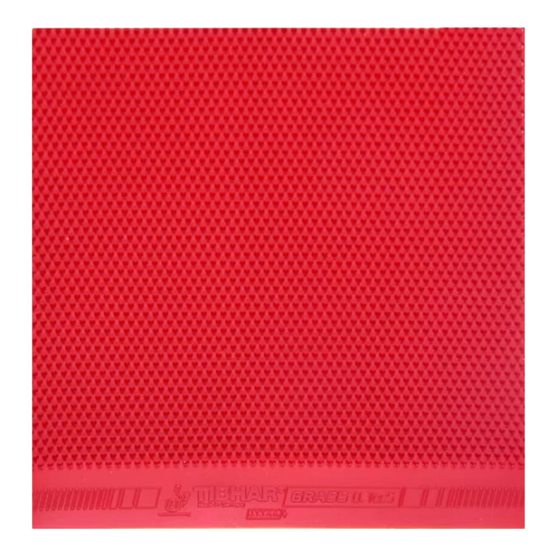 TIBHAR Grass D.TecS Table Tenn - Table Tennis Club 评论和价格