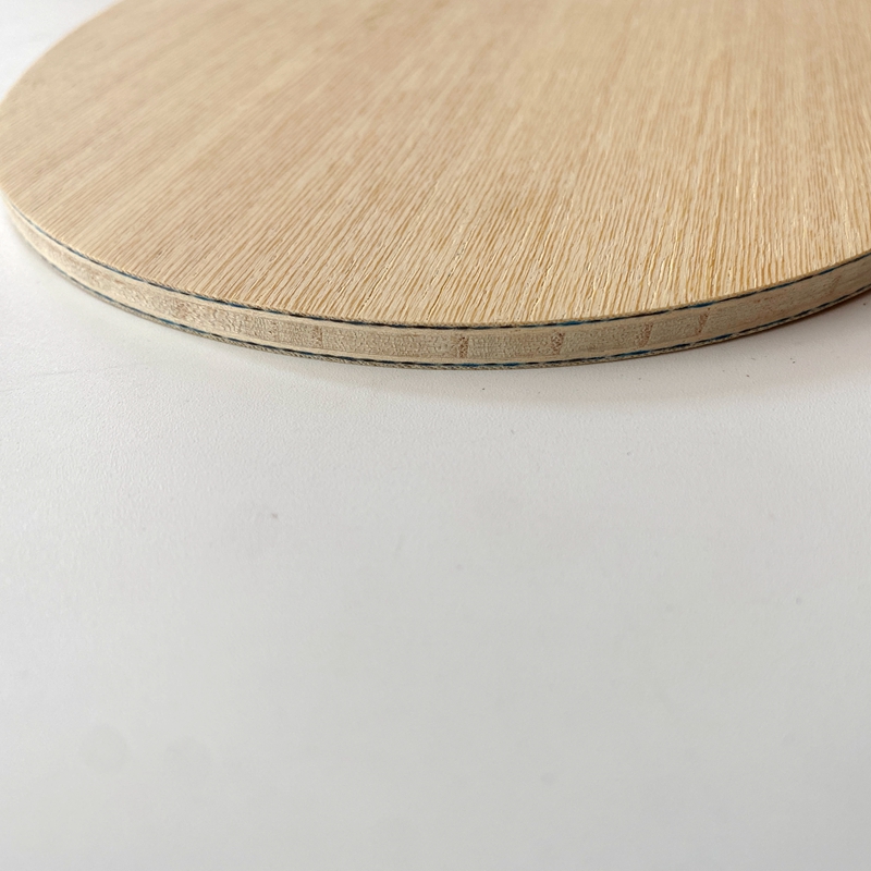 Lemuria VIS Carbon Fiber Table - Xu Xin Table Tennis 评论和价格