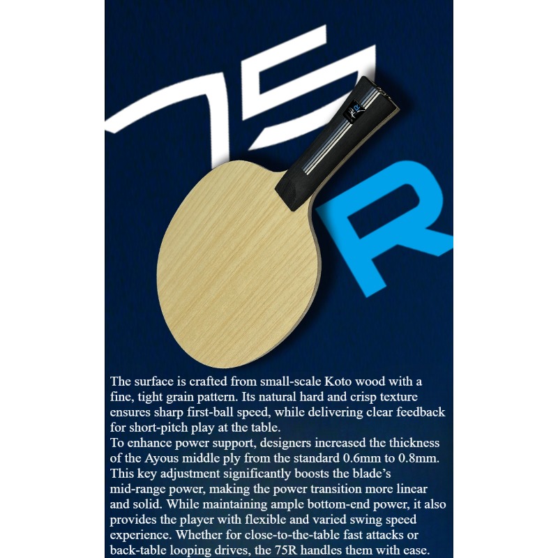 SANWEI 75R 5+2 Outer H-GLC Tab - Table Tennis Paddles 评论和价格